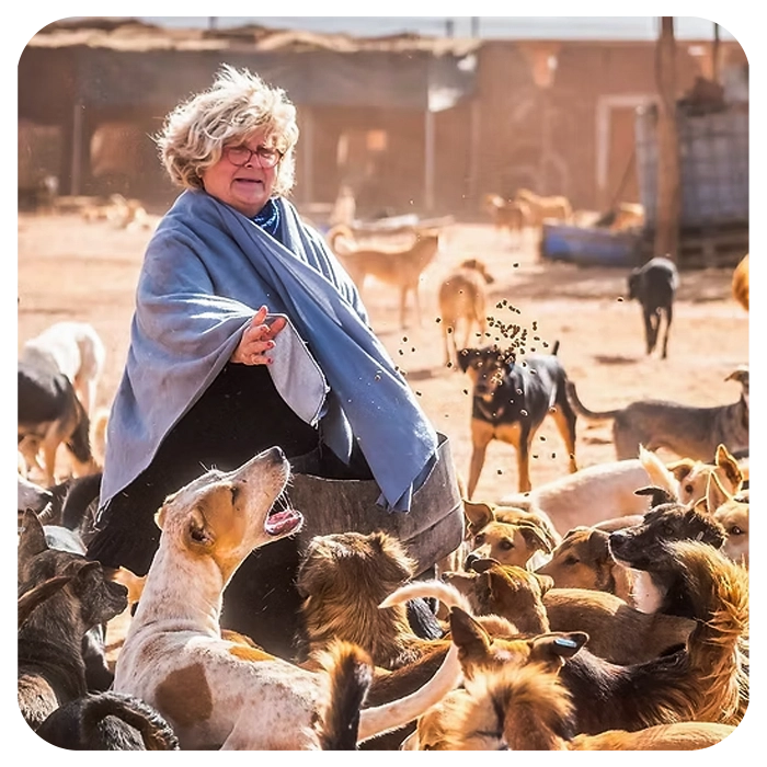 Institutional Film for an Animal Rescue NGO in Morocco – Case Study